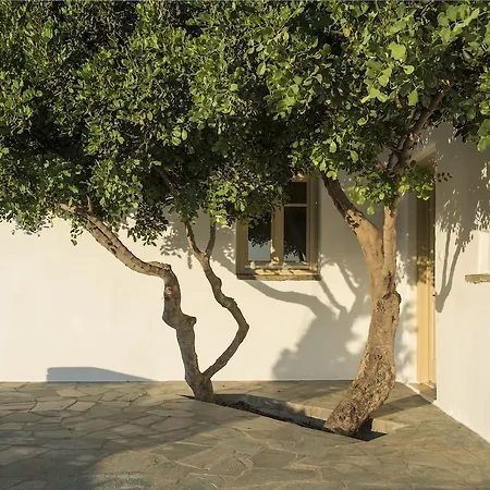 Βίλα Mandarin - Paros Holiday Villas Αγκαιριά